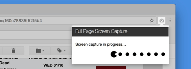 Full Page Screen Capture Plugin